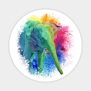 Colorful Elephant Zoo Magnet